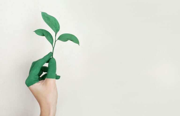 person s left hand holding green leaf plant