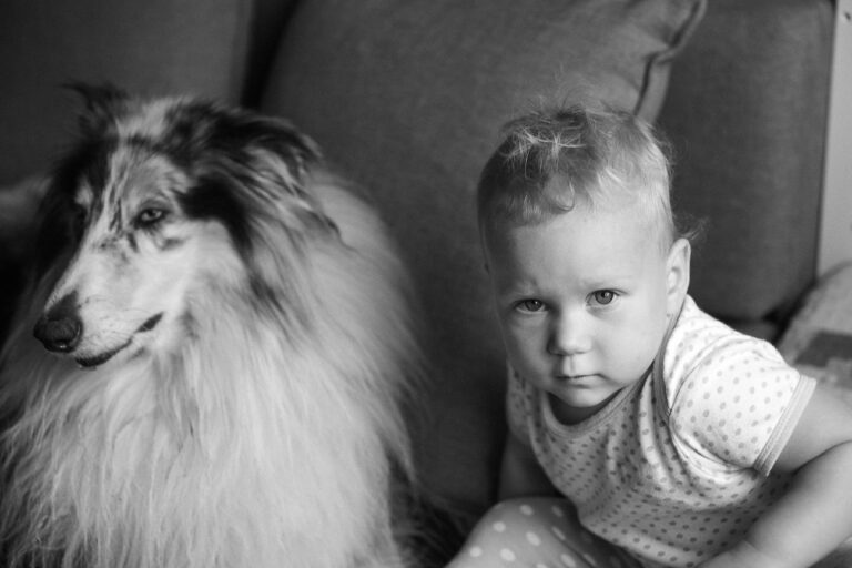 Köpekler Bebekleri Gerçekten Korur mu?